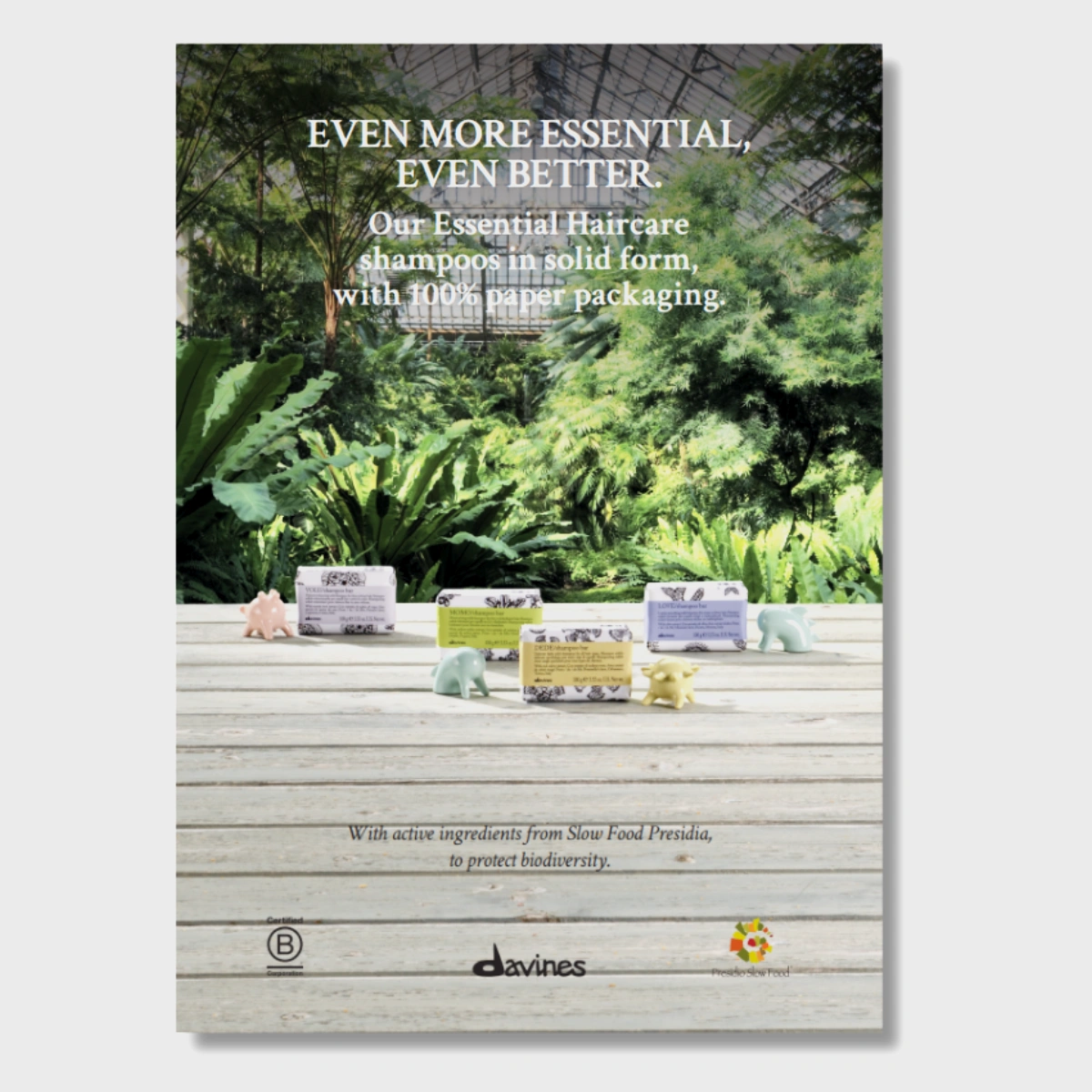 DAVINES papierowy display A5 shampoo bar Essential Haircare