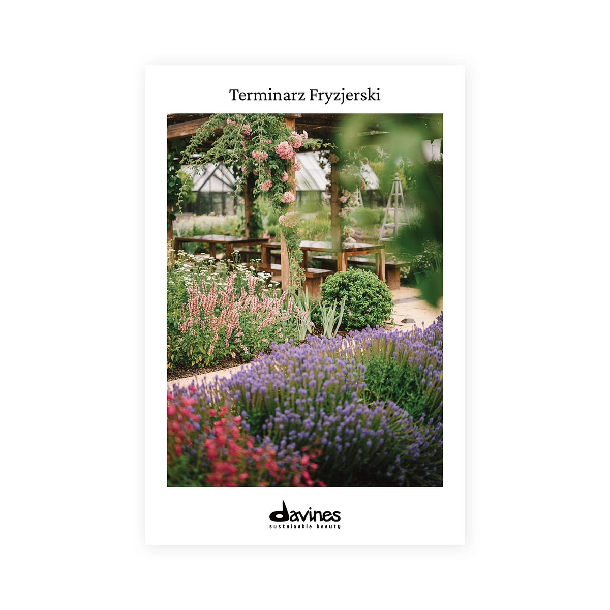 DAVINES terminarz