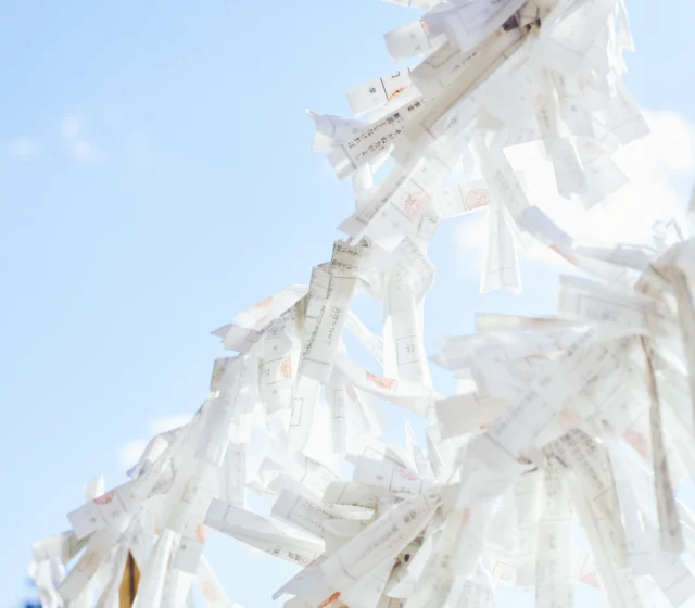  Szkolenie COLOUR UNIVERSE Z MARIJĄ BOROJEVIĆ