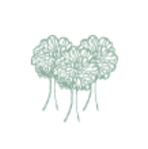 Wsparcie lasów
                    w Polsce